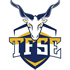 TFSE